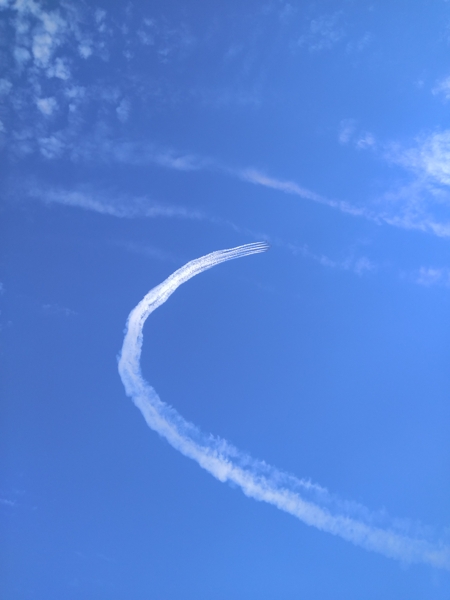 1527671125593838.jpg