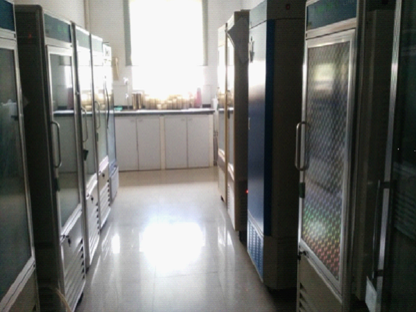 BC2A680512374A2D9324E4CDF44ABEA1 (1).jpg