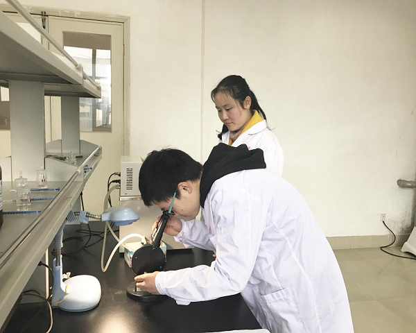 1545713480231510.png 图片1.png
