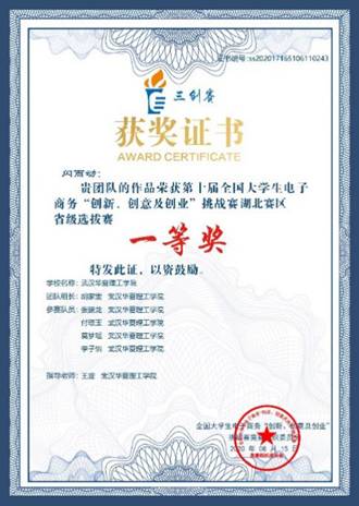 全国大学生电子商务“创新、创意及创业”挑战赛获奖