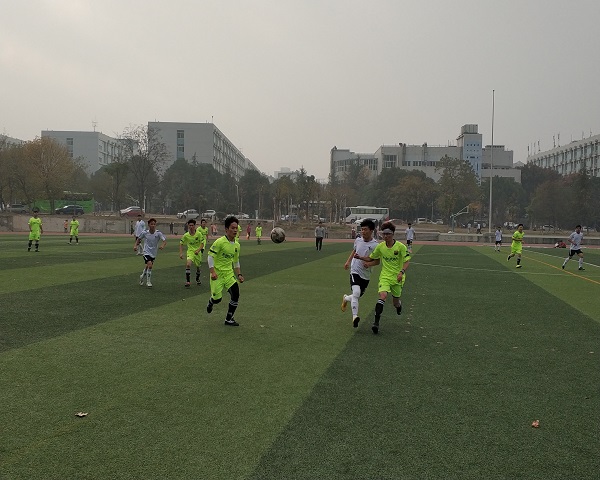 IMG_20181130_152459.jpg