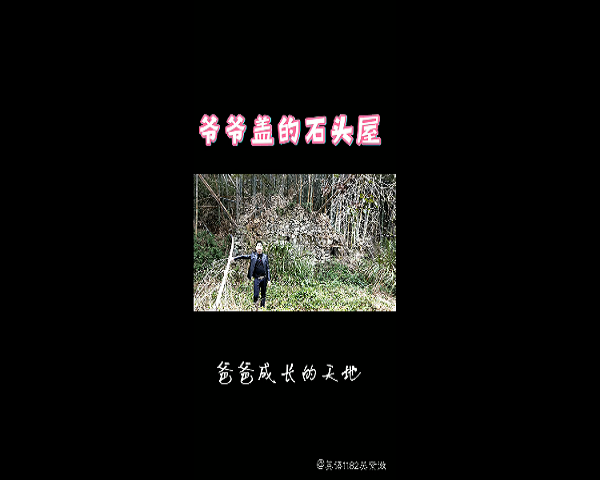 1590225849115884.png 鍥剧墖3.png