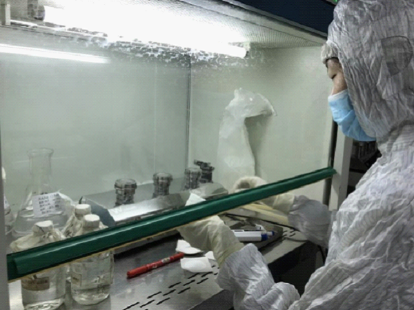 BC2A680512374A2D9324E4CDF44ABEA1 (2).jpg