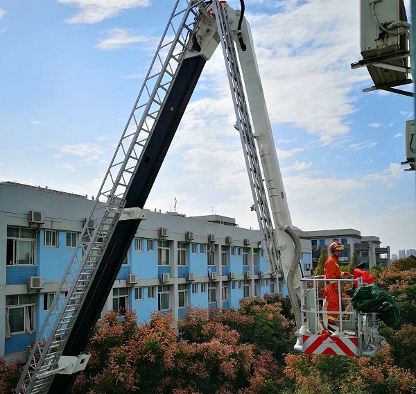 1541157625842691.jpg 888888888888888.jpg