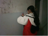 1520825528905388.png 1520825528905388.png