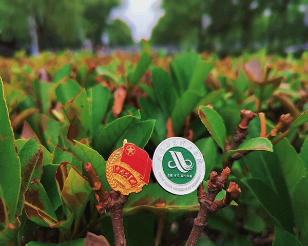 1653722572118565.jpg 12.jpg