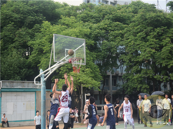 1557582717416547.jpg DSC_7407.jpg