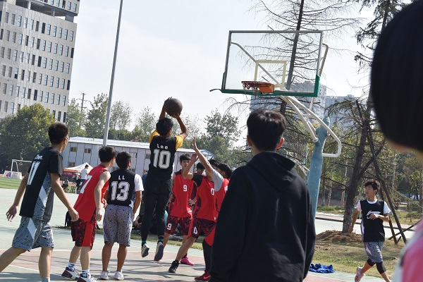 QQ图片20181102134412.jpg