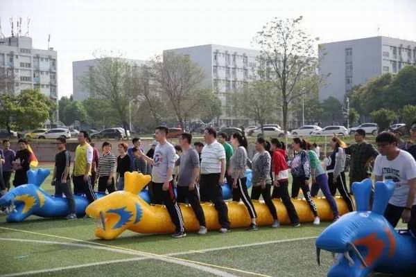 1491618478127860.jpg mmexport1491618221058.jpg