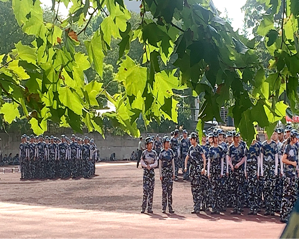 1663082010497146.png 鍥剧墖1.png