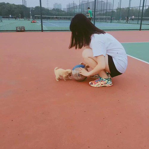 1528117659468443.jpg 董畦琪3.jpg