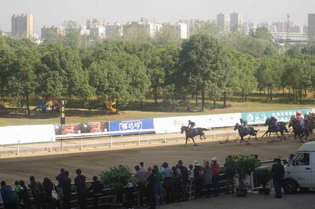 璋冩暣澶у皬 DSC02472.JPG