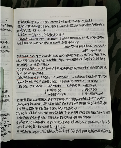 雷艳2.png