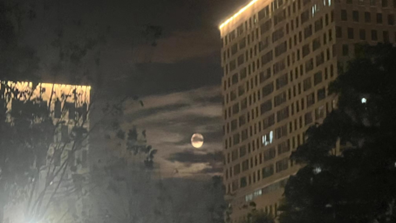 1662908532568062.png 1662908532568062.png