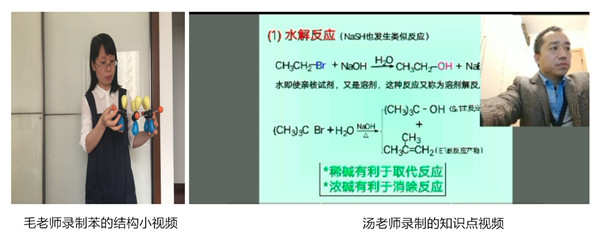 植物图片_副本1.jpg