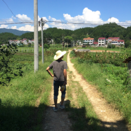 1504220021409748.png 1504220021409748.png