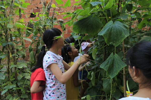 1501681593126341.jpg 333333.jpg