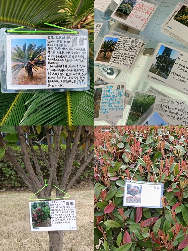 1647095728265290.jpg 9CFEE7AE9F85B209AACDA4BAC56FDFD3.jpg