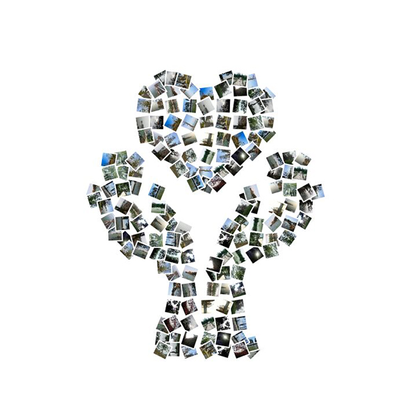 1489388829135481.jpg QQ鍥剧墖20170313150300.jpg