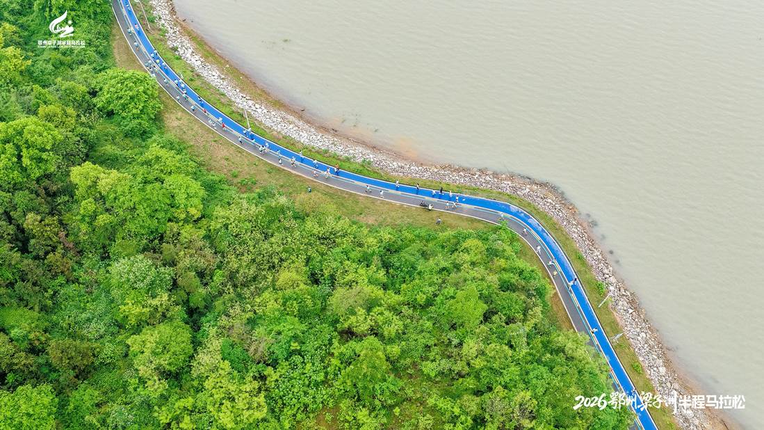 6519ffe389c1fefac2ed8b16fad3741a