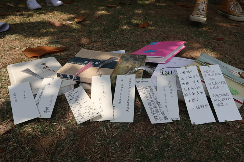 鍥剧墖3.png