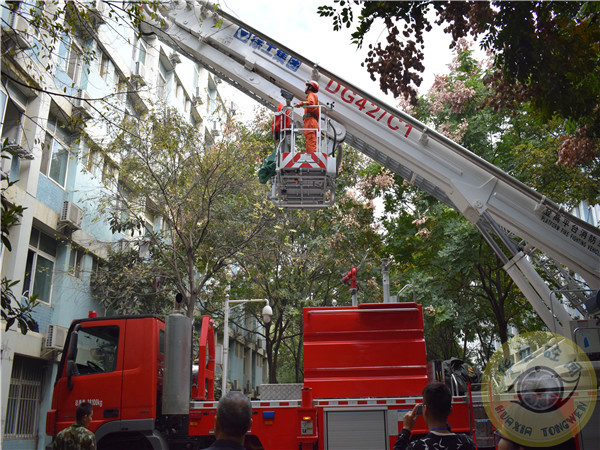 1541249060322437.jpg DSC_3732.jpg