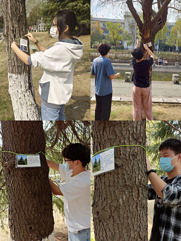 1647095708860549.jpg C3905B78501450C7D9190294595724ED.jpg