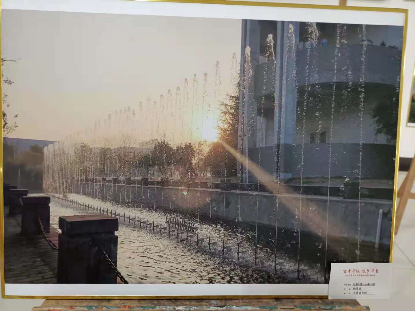 1621962800257330.jpg 1621962800257330.jpg