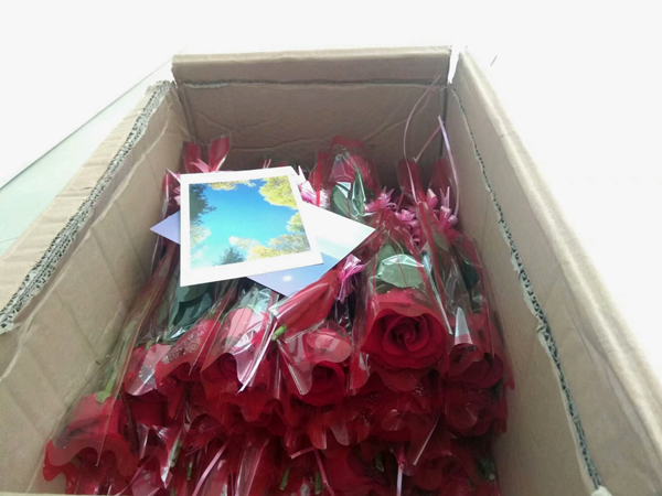 1575451468590568.png 图片1.png