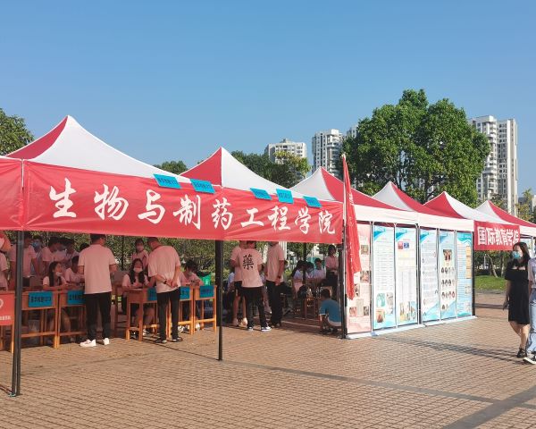 21杩庢柊.jpg