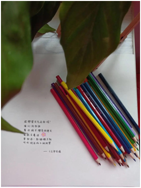 1584874420236674.png QQ图片20200322185324.png