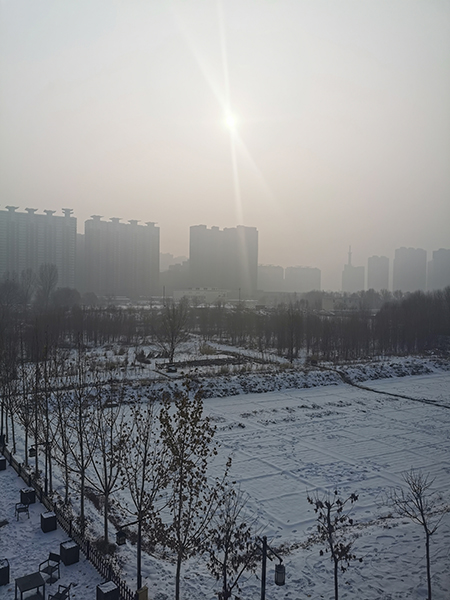 1583144475216492.jpg 20.jpg
