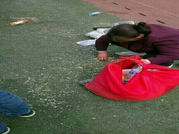 1494732523545040.jpg 14F043CDE8DB3DA8BF76E37FA82480F4.jpg