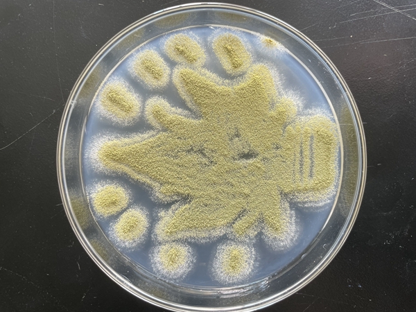 QQ鍥剧墖20221202172534_鍓